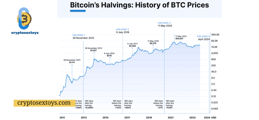 bitcoin-halving-chart